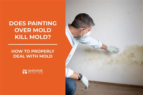 will painting over mold kill it? will the process of removing and covering up the problem ever truly resolve the underlying issue?